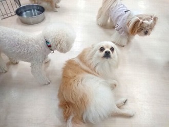 まだ?ほら、、待ってます🥺