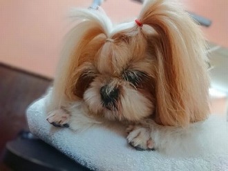 おめかし中💇‍♀️💅