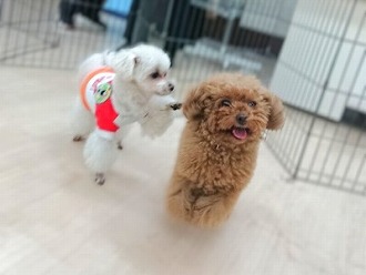 う、浮いてる!?