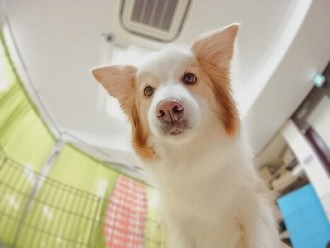 なんで？？