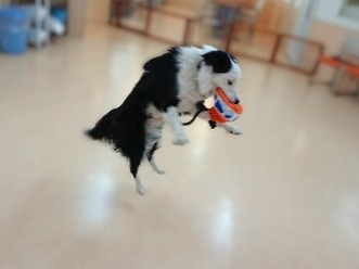 空中キャッチ