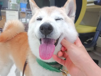 にぱ～🥰🥰🥰