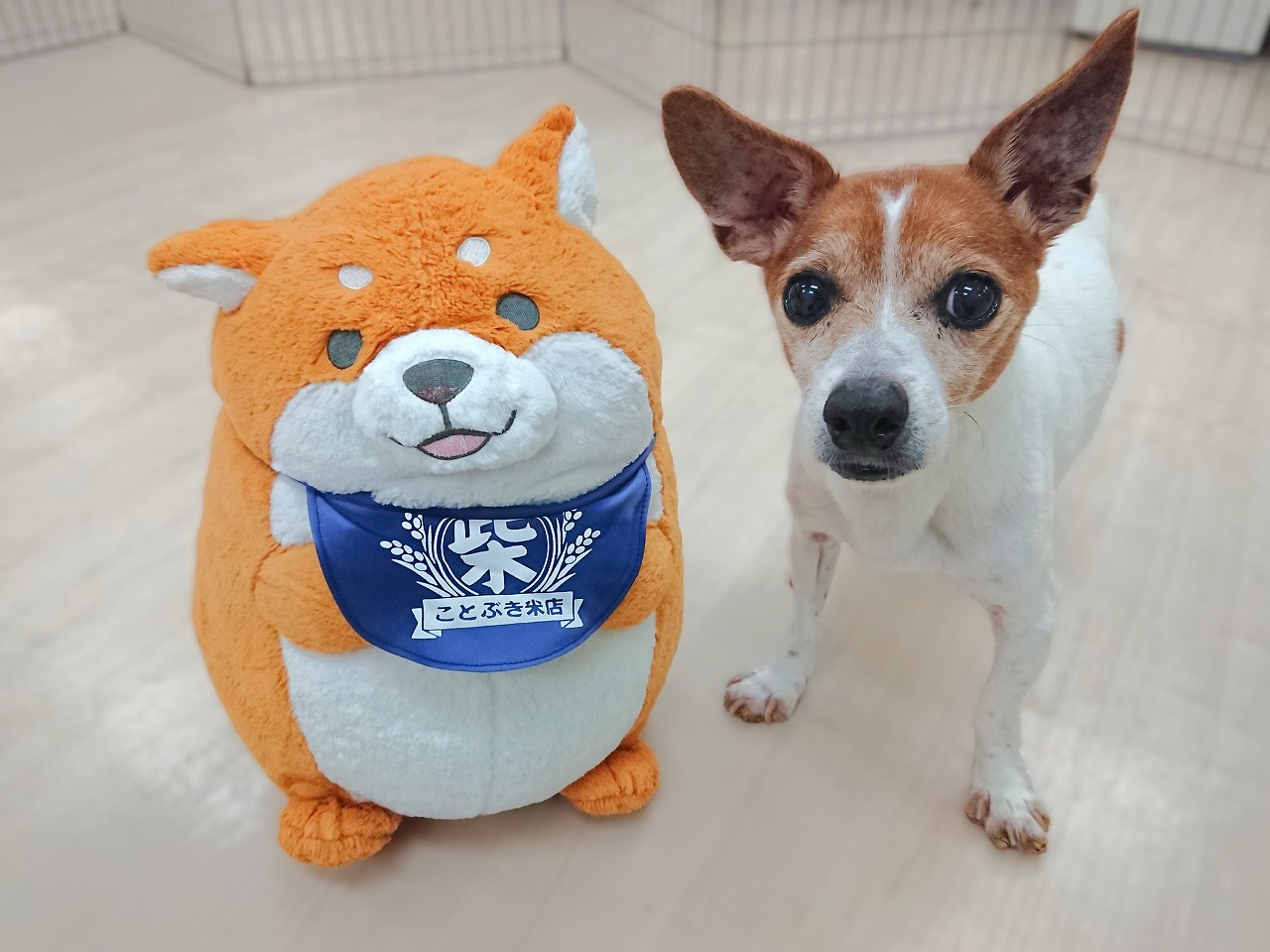 ねえ見てみて😊