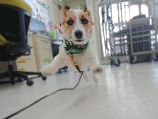 スーパーマン🦸