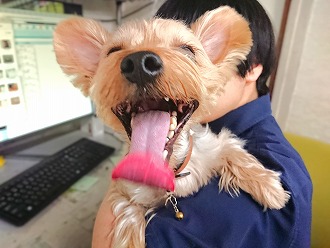 ワッハッハー😆