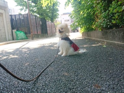 休憩中🍃