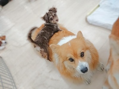 安心🥰