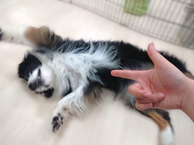 バーン🔫