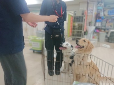 オヤツ待ち！