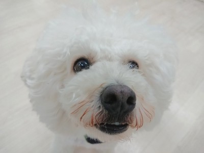 同化しちゃった👀