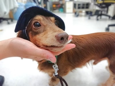おしゃれさん🍀