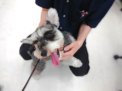 えへへ😊