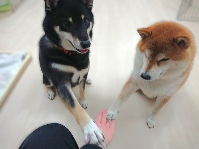 おて！