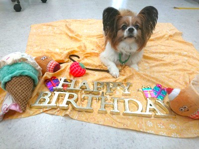 Happy　birthday🎂⭐
