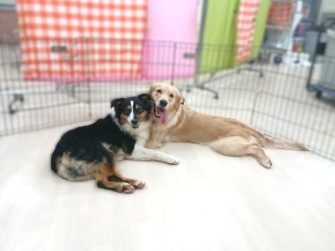 お友達🥰
