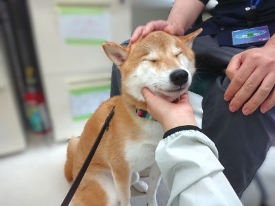 笑顔集📸