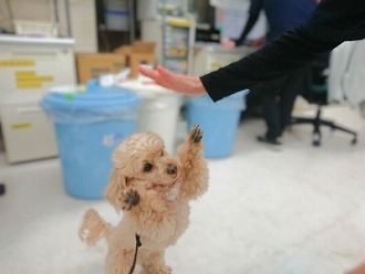 とやぁーー!!