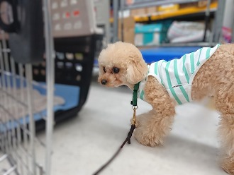 なんだこれは‼️
