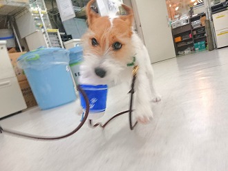 ヒャッホー😝