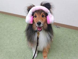 るんるん🎶