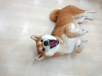 にぱー😊