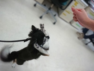 ちょーだーい！！！