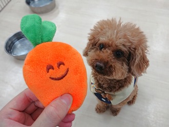 にんじんさん🥕