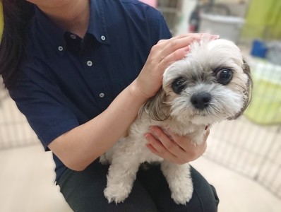 きもちいかも・・・？
