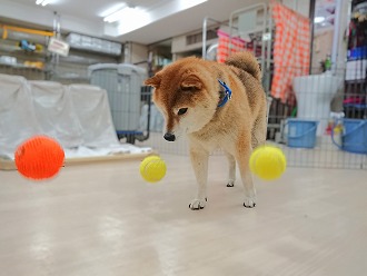 ハァァァア😠