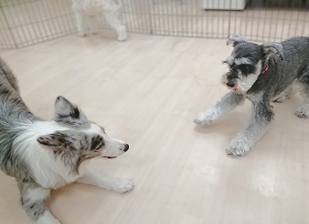 息ぴったり♪