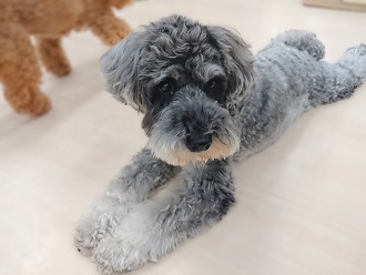 びよーん😙