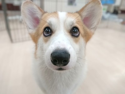 上目遣い💕