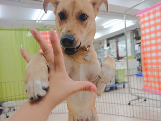 くらえ~ヾ(≧▽≦*)o