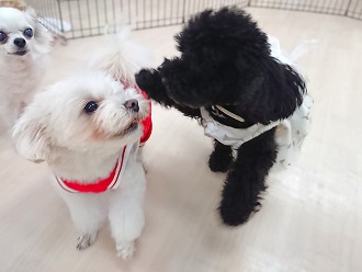 ほのぼの☺️