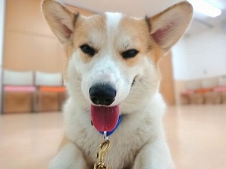 幸せ🥰