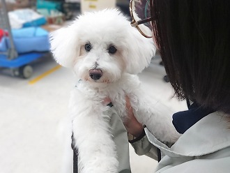 ようこそ☺️