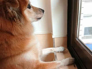 じー👀