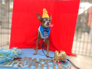 お誕生日おめでとう🎉✨