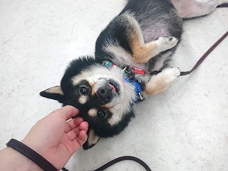 とろ~ん🥰
