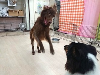 楽しい~!!🎵(>_<)