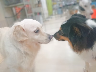 ご挨拶✨からの～❓