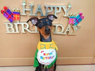 お誕生日🎂✨