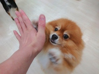 ターッチ❕✋