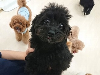 新しいお友達(*^-^*)