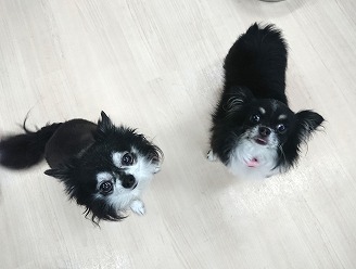 お近づき💕