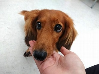 きゅるん👀💗