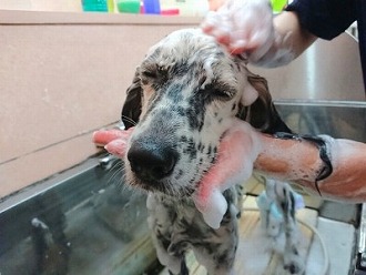 「気持ちい～🛁」