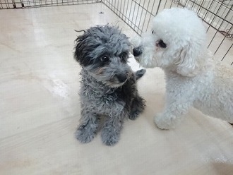 初めてのお友達🥰

