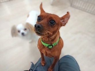キメ顔📸