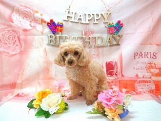 お誕生日🎂💕
